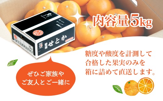 【先行受付】せとか　レギュラー箱　5kg　愛媛県JAおちいまばり【配送不可地域：離島】
