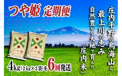 【6回定期便】令和7年産 つや姫［精米］4kg×6回(計24kg) SI SJ0054