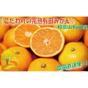 【ふるさと納税】＼農家直送／こだわりの完熟有田みかん Lサイズ約10kg 【2024年11月中旬より順次発送】 | フルーツ 果物 くだもの 食品 人気 おすすめ 送料無料