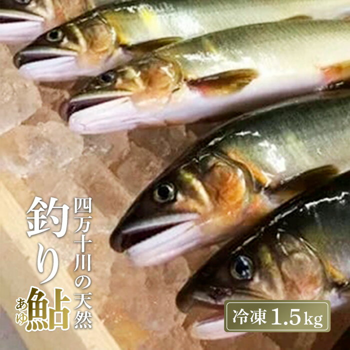 【ふるさと納税】 四万十川上流 の 天然鮎 釣り鮎 1.5kg ( 冷凍 6～22尾 ) 鮎 あゆ アユ 川魚 高知県 四万十 天然 冷凍