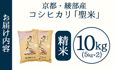 「丹波美人」白米 10kg （5kg×2） | 米 お米 こしひかり 白米 精米