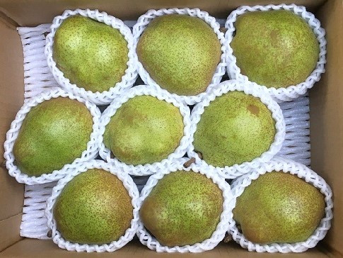 
            西洋梨（ラ・フランス）３ｋｇ　ご家庭用　0134-2501
          