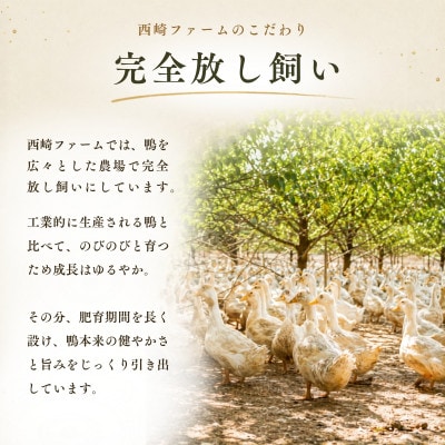 かすみ鴨 モモ肉スモークセット 計約500g(3～4パック) | 鴨 かも 茨城県かすみがうら市【配送不可地域：離島】