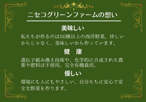 【数量限定】北海道 ニセコ 旬の有機栽培野菜セット 定期配送4回分  オーガニック 野菜詰め合わせ お取り寄せ グルメ