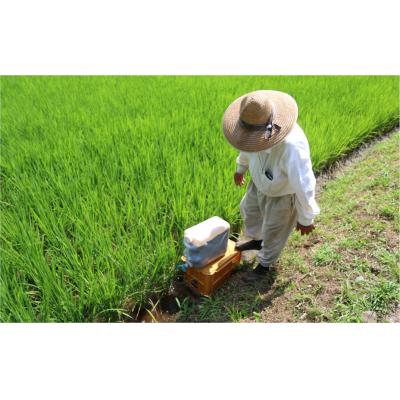 ふるさと納税 臼杵市 【令和7年度産】こだわり農法の「れんげ米」精米(5kg) |  | 02