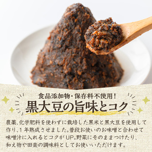 《数量限定》黒味噌(黒米麹と黒大豆)計600g(300g×2パック) 味噌 黒味噌 黒大豆 大豆 田楽 和え物 黒米麹 麹 こうじ みそ汁 味噌汁 有機 有機農業 有機肥料 【雲月農園】_y457