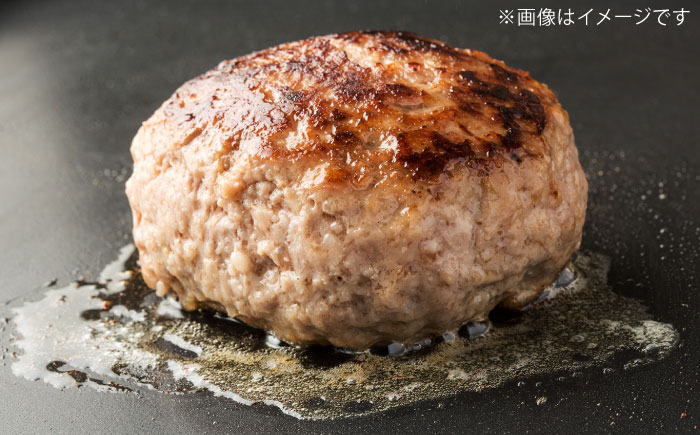 【全12回定期便】沖縄県産あぐー豚ハンバーグセット 800g (100g×8個) 豚 ハンバーグ 冷凍 ギフト お取り寄せ 沖縄市 / お肉屋本店 [BCAZ011]