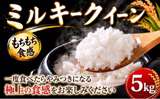 ミルキークイーン 5kg 米 お米 ブランド米 国産 令和7年度産 特別栽培米 美味しい お米 白飯 飯 ご飯５kg 5キロ 精米 白米 みるきーくいーん こめ コメ おこめ okome kome おむすび おにぎり ふっくら 甘み 炊きたて もちもち 弁当 グルメ 朝食 贈答 ギフト 佐瀬農場 千葉 東金