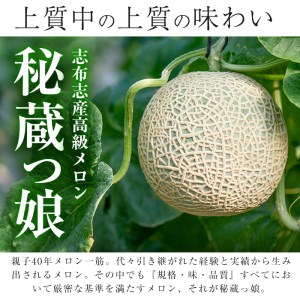 【冬限定】極上メロン「秘蔵っ娘」赤玉(赤肉)1個 メロン マスクメロン 果物 くだもの デザート 赤肉 a5-060-w