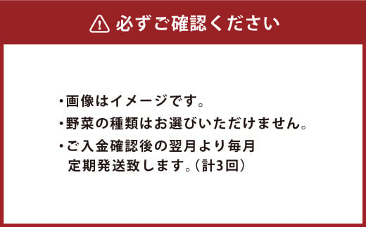 竹田市産！季節の『野菜箱』3ヶ月定期便【1箱あたり:8~12種】