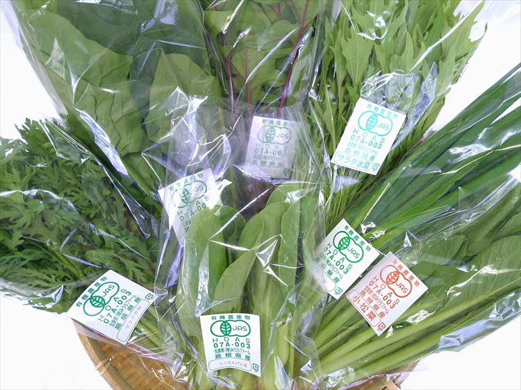 【ふるさと納税】みうらファームが選んだ 旬の有機野菜厳選8品セット 野菜 有機野菜 セット 厳選 8品 旬 有機JAS認証 詰め合わせ 産地直送 【109_1351】