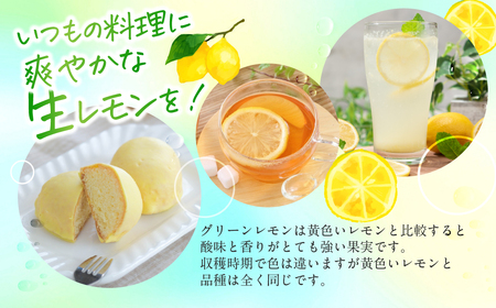 旬のレモン 2.5kg レモン グリーンレモン 檸檬 緑 グリーン レモン 柑橘 柑橘類 フルーツ 果物 旬 レモネード レモン ケーキ レモンティー に 愛知県 田原市 渥美半島