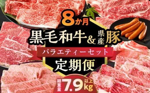 ≪8か月定期便≫黒毛和牛＆県産豚バラエティーセット(総重量7.9kg以上) 肉 牛 牛肉 おかず 国産_T030-182