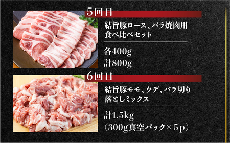 定期便6回 結旨豚食べつくし 6か月 バラ ブロック ロース 肩ロース とんかつ用 生姜焼き用 しゃぶしゃぶ 焼肉 焼き肉 切り落とし モモ 国産 白川村産 真空パック 小分け 焼肉 ブランド豚 ゆい