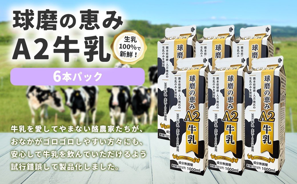 
            球磨の恵みA2牛乳 6パック 1パック1000ml 1L 計6L 生乳100% ぎゅうにゅう ミルク 
          