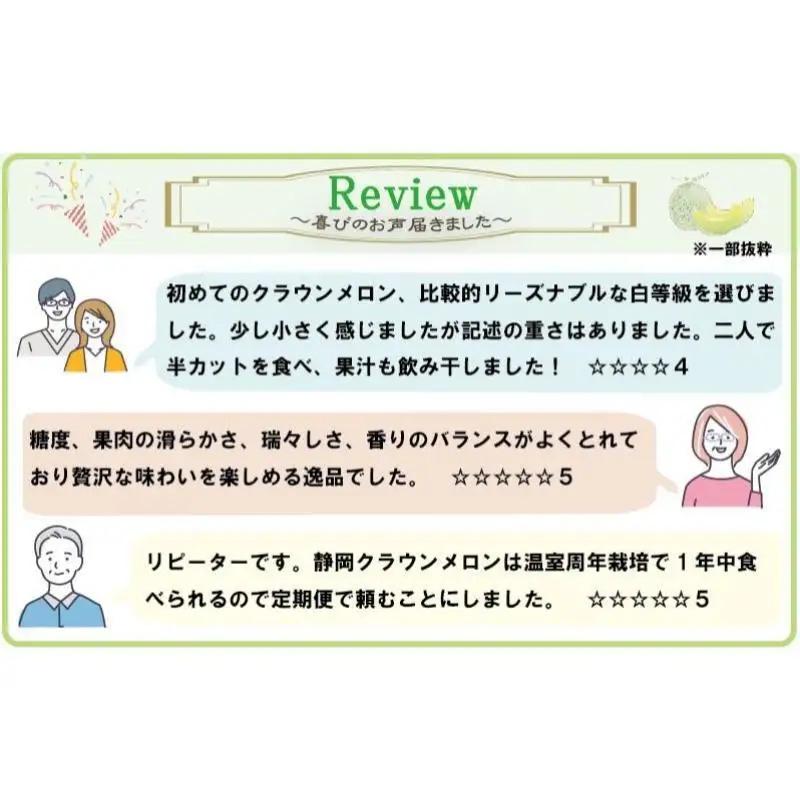 クラウンメロン 訳あり 1玉 青肉 フルーツ メロン