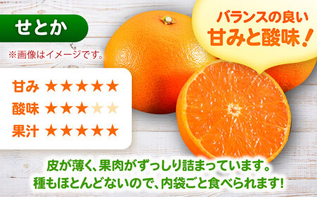 【みかん農家直送 ストレートジュース】そのまんま せとかジュース 720ml×2本 / みかんジュース 農家直送 ストレートジュース / 佐賀県 / 山本農園 [41ATBT016]