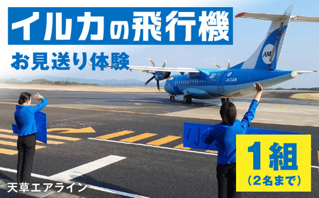 S035-011_イルカの飛行機「天草エアライン」をスタッフと一緒にお見送り体験