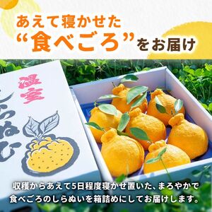 温室 不知火 （ しらぬい ） 5玉入 / デコポン ハウス栽培 甘い 和歌山 柑橘 お歳暮 ※2026年11月下旬〜2026年12月下旬に順次発送 【ymk006-p-5A】