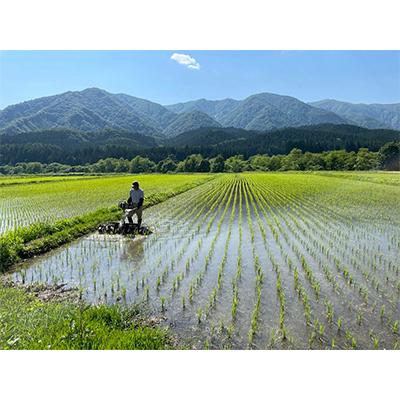 ふるさと納税 最上町 【令和6年産】特別栽培米　蛍たる米コシヒカリ(玄米)5kg |  | 03