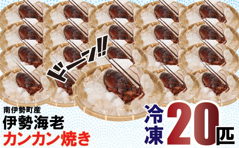 
                  【着日指定可能】 南伊勢町産 伊勢海老 20匹 カンカン焼き (冷凍) /  伊勢海老 ギフト 贈答 のし対応可 プレゼント 海鮮 魚介 鮮魚 ガンガン焼き 浜焼き BBQ アウトドア 伊勢 志摩 着日指定 南伊勢 100000円 10万円以下
                