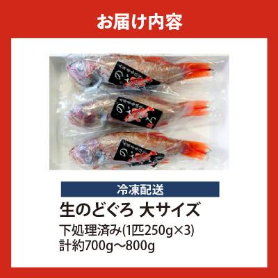 ふるさと納税 香美町 調理済み 香住産のどぐろ大3尾(生・冷凍)【2025年9月以降順次発送】 |  | 03