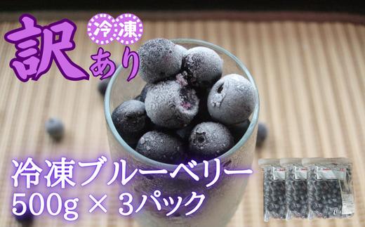 【訳あり】シルクファーム産　冷凍ブルーベリー　1500g（500g×3パック）