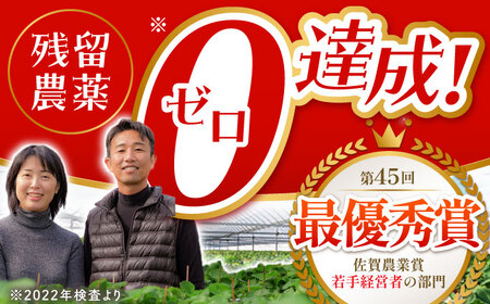【先行予約】【1〜2月発送】王様のいちご いちごさん400g×2箱 HAF009 いちごいちごいちごいちご