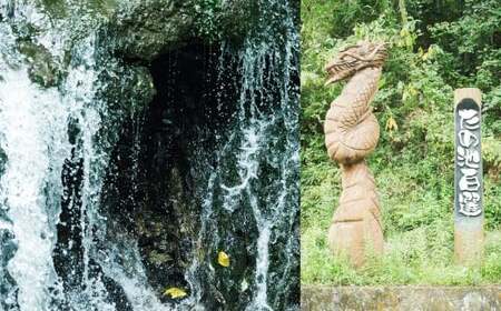 D4  【隔月6ヶ月定期便】【令和7年産】 隔月届く国際大会金賞「みやま米」 各2kg×2袋