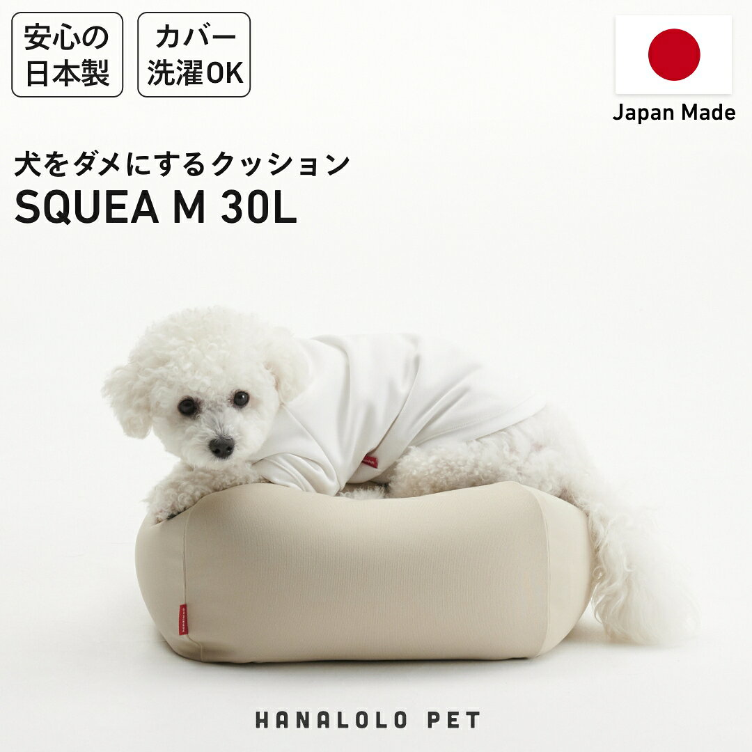 【ふるさと納税】 クッション ビーズクッション ビーズクッション ペットクッション S カバー付 30L ナチュラルベージュ 1個 [タキコウ縫製 愛知県 岡崎市 ok23bzx360026] インテリア 家具 雑貨 くっしょん 椅子 イス 癒し ペット ベージュ