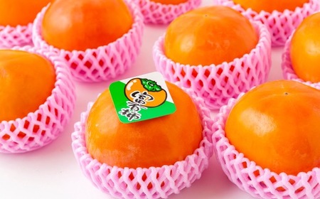 【先行予約】渡辺農園 富有柿 9玉前後 2025年11月中旬から12月上旬 出荷予定