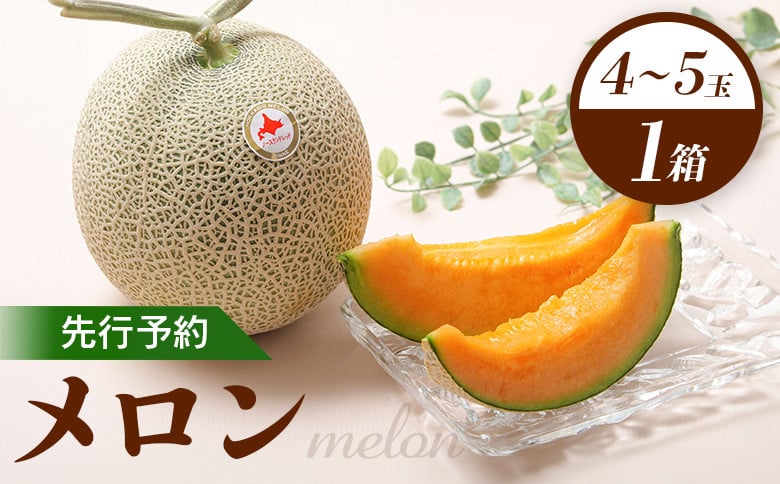 
            【先行予約】 赤肉メロン1箱（4～5玉） 【令和7年7月～8月上旬発送】 ｜ 先行予約 メロン 北海道 赤玉 セット オンライン申請 オンライン ワンストップ マイページ デザート 果物 フルーツ 赤肉メロン 赤肉 ふるさと納税 北海道 新十津川 新十津川町【1201801】
          