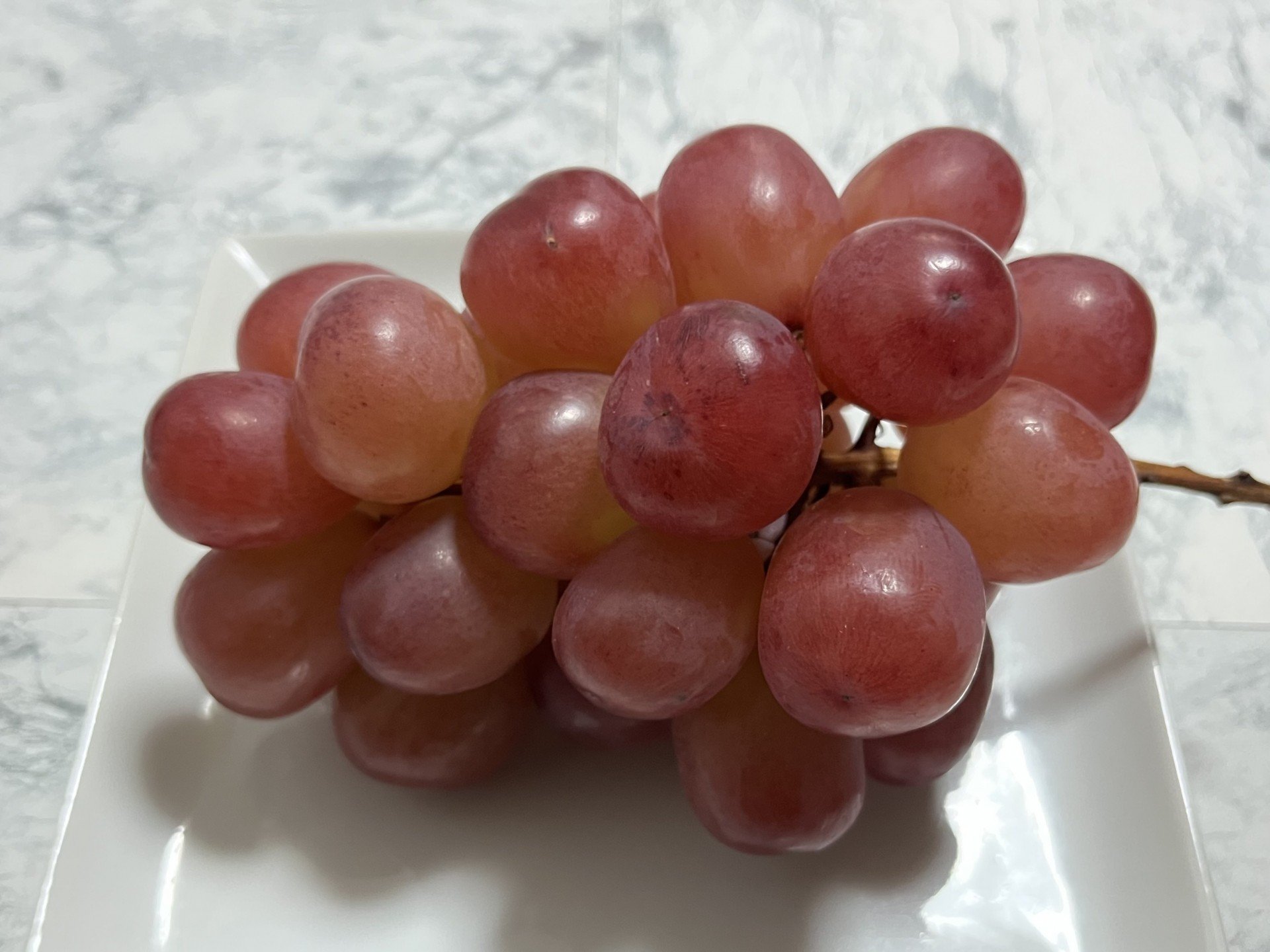 
            【先行受付：2026年発送】信州産 クイーンルージュ® 家庭用 約1.2kg(2房～3房)　｜ふるさと納税 信州 松本 長野県 クイーンルージュ ぶどう 定番 甘い 果物 フルーツ 甘い おすすめ 
          