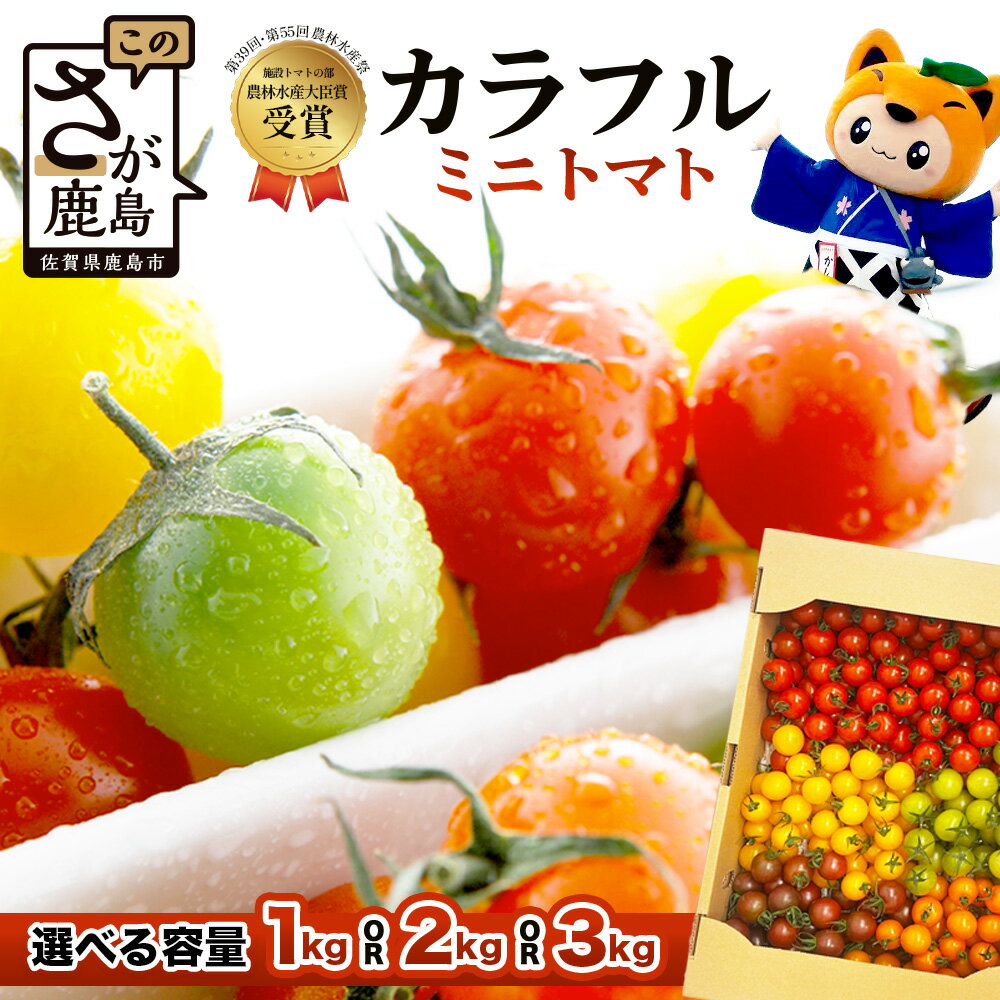 【ふるさと納税】選べる容量 岩永さんちのカラフルミニトマト (5色) 約1kg / 2kg / 3kg【農林水産大臣賞受賞】有機肥料・化学肥料不使用 | 生産者直送 野菜 旬 とまと プチトマト サラダ やさい 旬 新鮮 おやつ お弁当 ふるさと 人気 送料無料 佐賀県 鹿島市 D-221