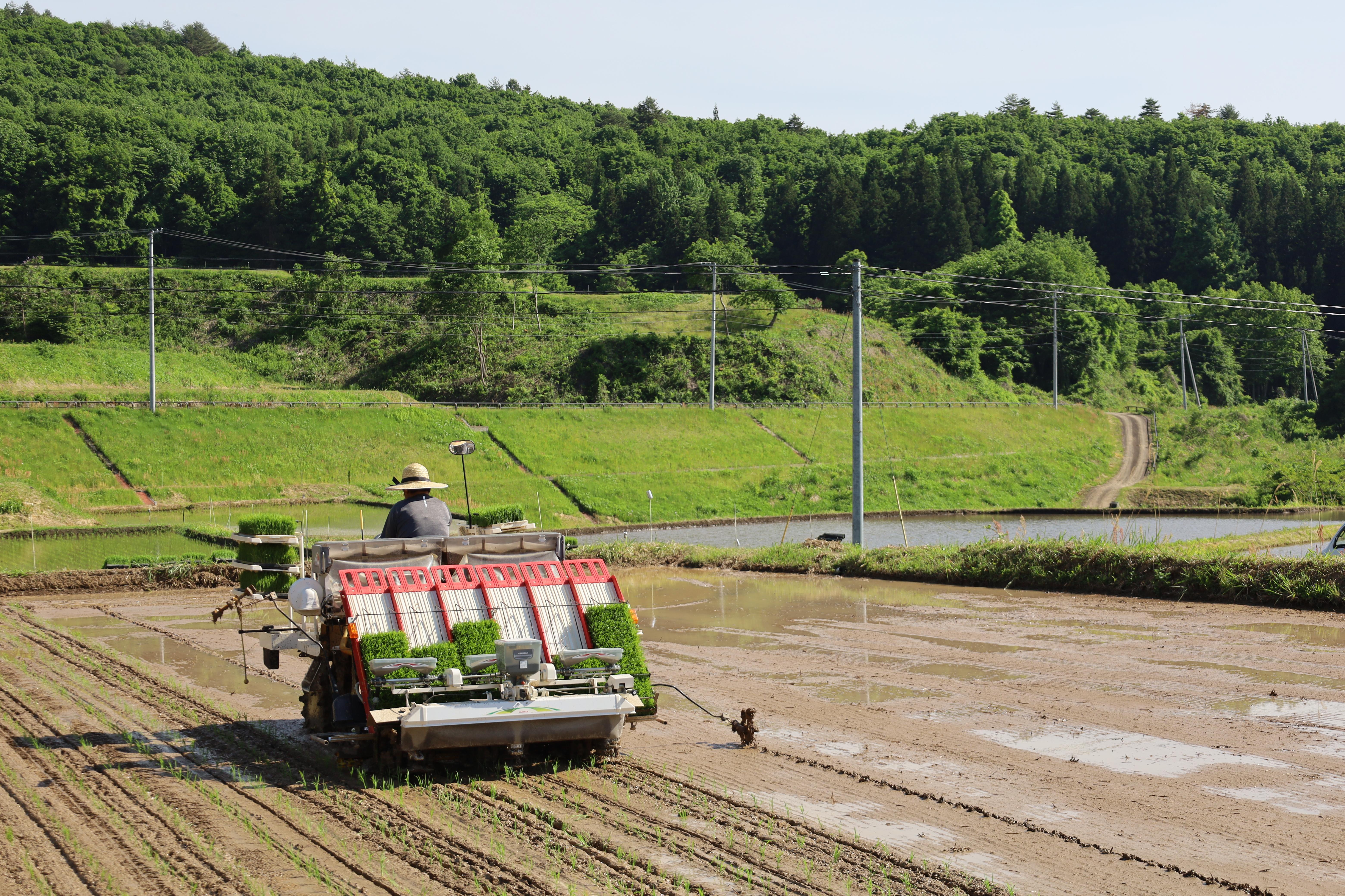 【先行予約/令和8年産 新米】【10ヶ月定期便】会津・北塩原村産「コシヒカリ」10kg×10回お届け(大塩棚田米・標高500ｍ里山栽培） KBK032
