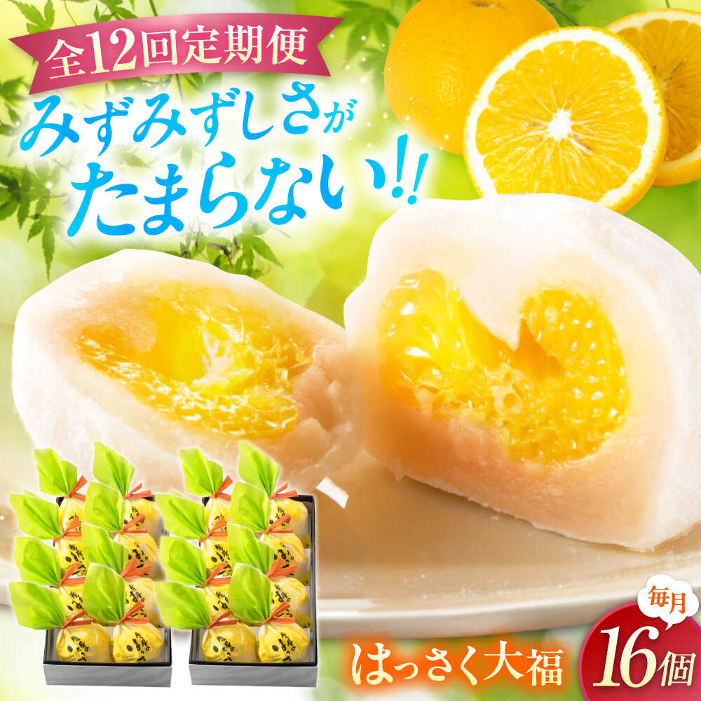 【ふるさと納税】【12回定期便】お菓子 はっさく大福8個入×2　 お菓子 大福 八朔 柑橘 みかん オレンジ 餅 ギフト お取り寄せ スイーツ フルーツ大福 ご当地 菓子 おかし デザート 食品 人気 おすすめ 広島県福山市/株式会社虎屋本舗[BADH028]