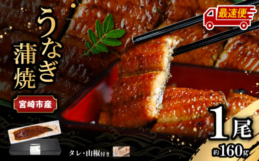 【最速便】【日時指定可能】宮崎県宮崎市産　うなぎの蒲焼　約160g（約160g×1尾）タレ・山椒セット_M325-005-2W