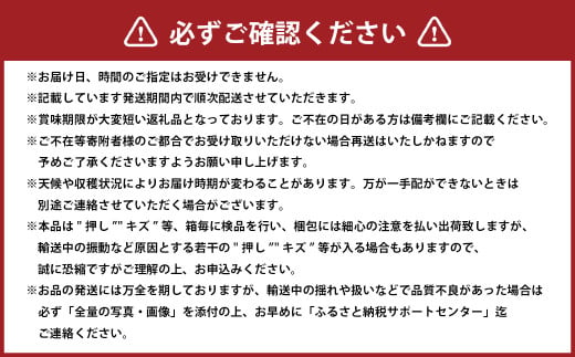 岡山白桃 エース 4～8玉 約1.2kg 岡山県産