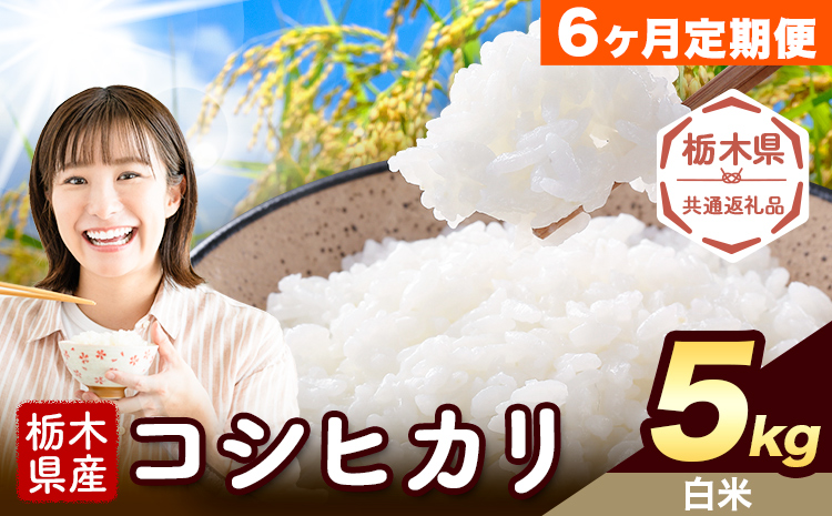 【6ヶ月定期便】令和7年度産 米 栃木県産 コシヒカリ 白米 5kg《お申込み翌月から出荷》栃木県 野木町 米 白米 精米 国産 お米 おこめ お弁当 おにぎり【栃木県共通返礼品】