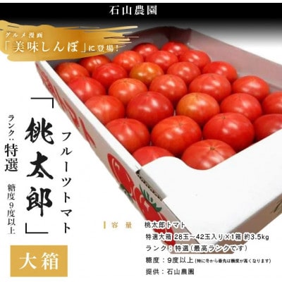 【特選】トマト 美味しんぼに登場したトマト「桃太郎」大箱 28玉～42玉　ランク:特選　糖度9度以上【配送不可地域：離島・沖縄県】
