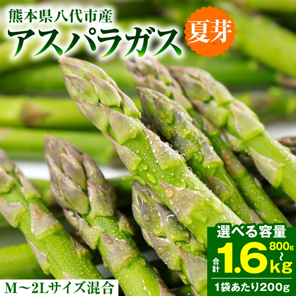 【ふるさと納税】 アスパラガス 800g〜1.6kg （M〜2Lサイズ混合）【選べる内容量】 アスパラ 新鮮 夏野菜 野菜 やさい 旬 産地直送 熊本県 八代市 送料無料