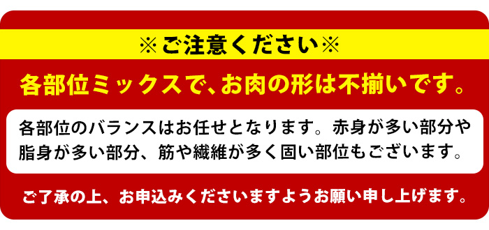 《訳あり》鹿児島県産 豚肉 切り落とし (計4kg・500g×8P) 小分け 冷凍 国産豚肉 鹿児島 ポーク 肉 個包装 人気 ランキング 【スターゼン】starzen-6076-08