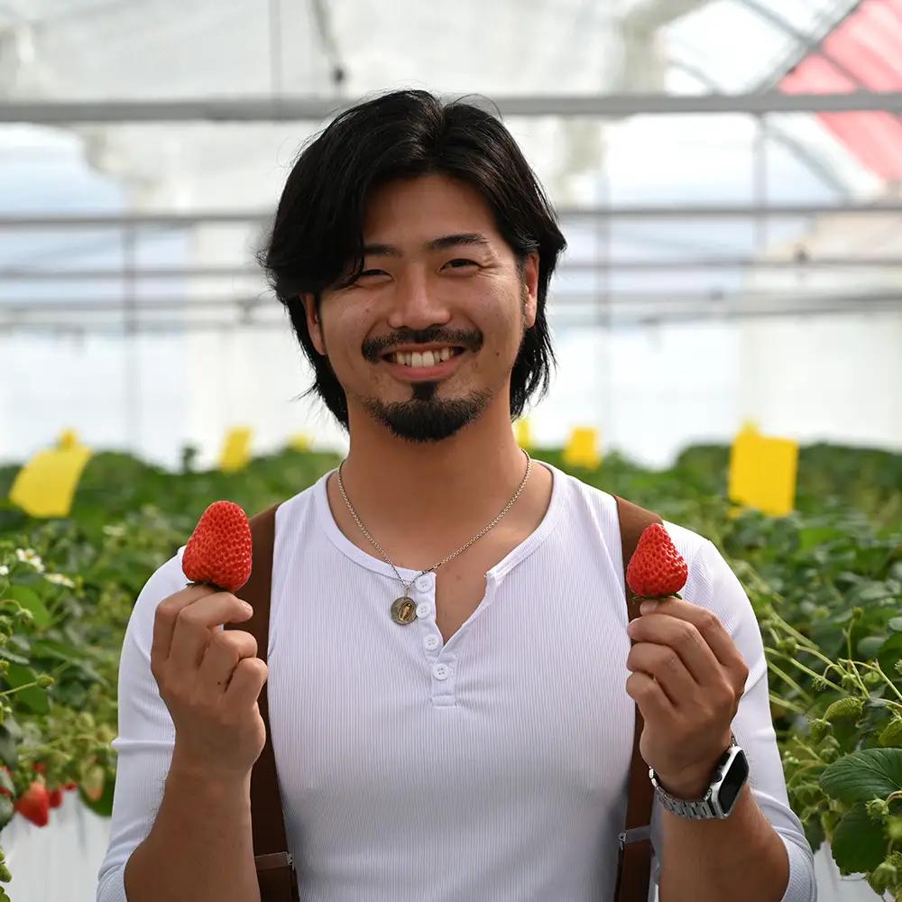 【先行予約】MIYA FARM いちご（品種：べにほっぺ）12粒入り×4パック 合計 48粒 ※北海道・沖縄・離島への配送不可 ※2027年1月中旬～5月下旬頃に順次発送予定