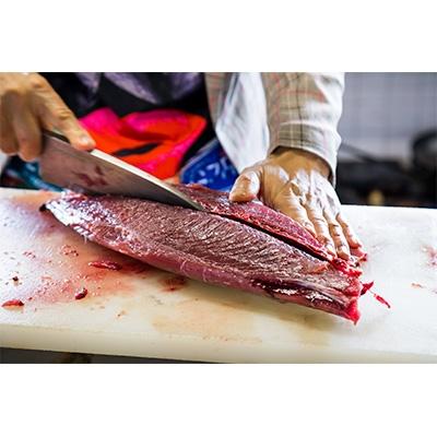 ふるさと納税 南国市 訳あり!わら焼きたたき500g |  | 03