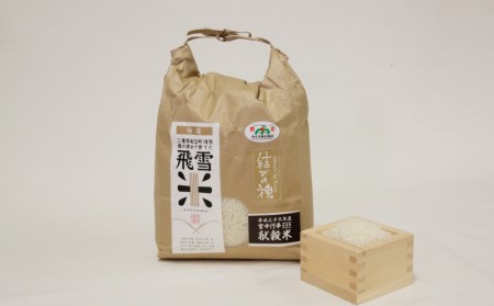 お米 数量限定 飛雪米 結びの神 3kg 【hsj004B】