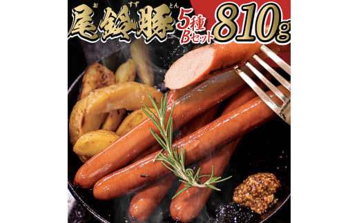 ウインナー 【PREMIUM PORK】尾鈴豚ハム・ソーセージ詰め合わせ 5種Bセット【 数量限定 肉 豚肉 ぶた 豚 国産 九州産 宮崎県産 ウインナ― 生ハム ソーセージ 加工品 】 [C09203]