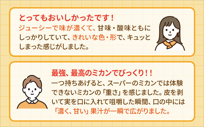＜先行予約＞【2月～3月発送】幻のみかん タッチの甘熟「今村温州みかん」5kg 【夢の完熟みかん タッチ】 [HCE002]