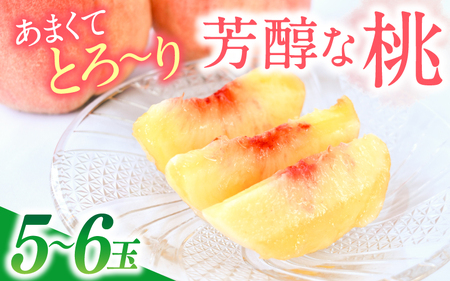 もも あまくてとろ～り芳醇な桃【5～6玉】【先行予約】【2026年6月下旬～8月上旬順次発送】 かつらぎ町 【aozf001】