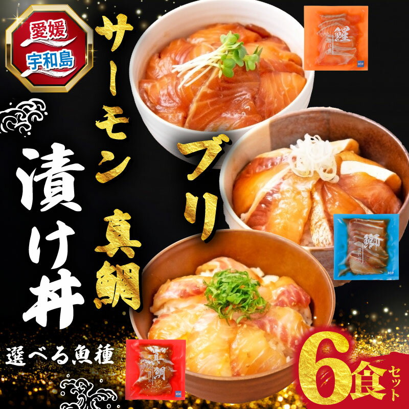 【ふるさと納税】 海鮮丼 漬け丼 選べる 魚種 鯛 ブリ サーモン 6食 南予ビージョイ 真鯛 マダイ タイ tai 鰤 ぶり buri サーモン SALMON 刺身 お刺身 刺し身 漬け 漬丼 丼 丼ぶり 鯛飯 海鮮 人気 海の幸 魚介 人気加工品 冷凍 小分け パック お手軽 愛媛 宇和島