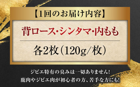 【全6回定期便】鹿肉 ステーキ3種セット（背ロース120g×2枚・シンタマ120g×2枚・内もも120g×2枚）《喜茂別町》【EBIJIN】 ジビエ モモ セット ステーキ 赤身 冷凍配送 定期便[A